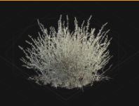 Plant Fiber * 500